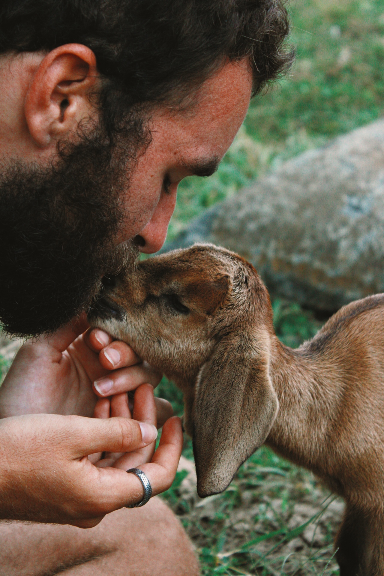 Extended Farm Stays in Indonesia: Finding Community Beyond the Tourist Trail