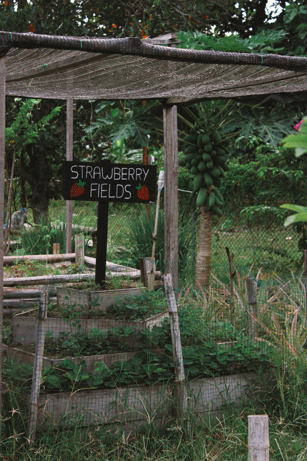 Last Minute Birthday Gifts in Lombok: Digital Delivery Within 24 Hours